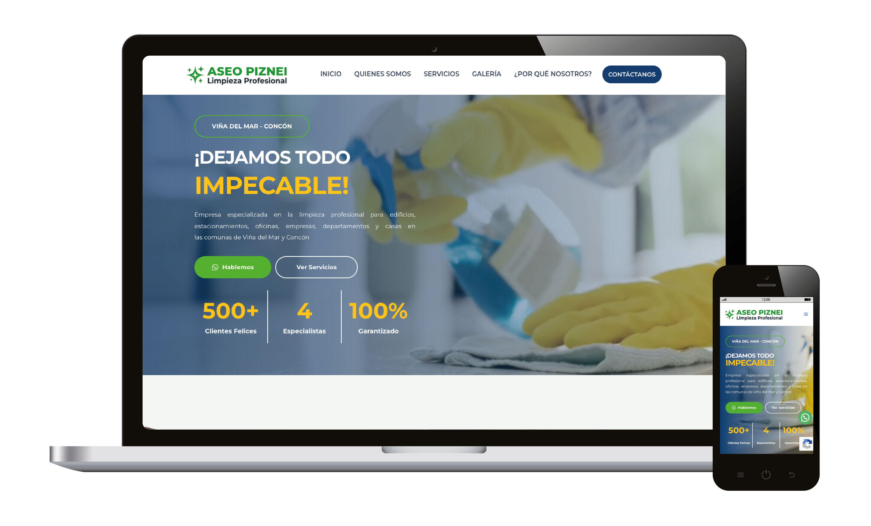 Servicios Piznei